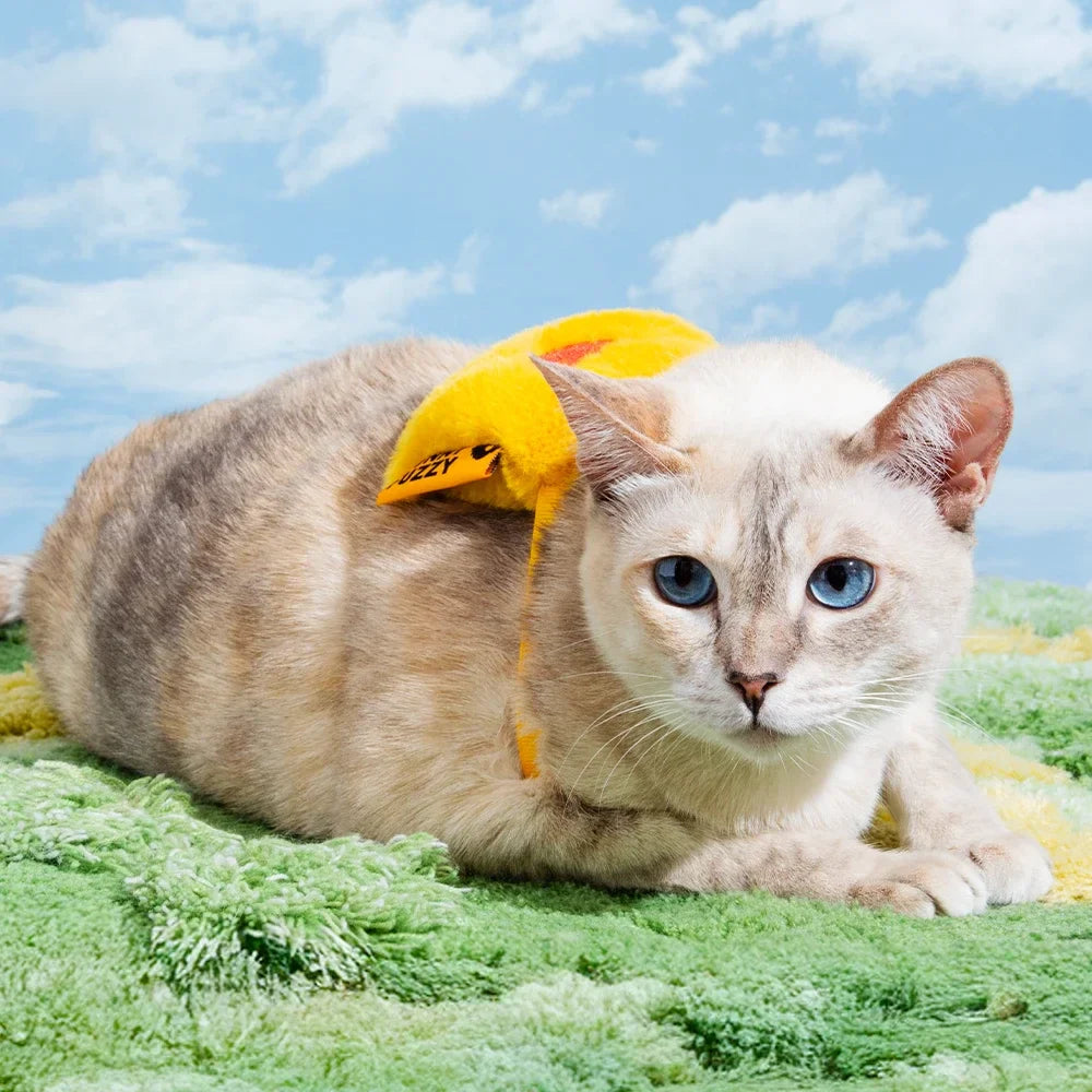 FUNNYFUZZY Schoolbag Plush Squeaky Dog Toy – BarkPack