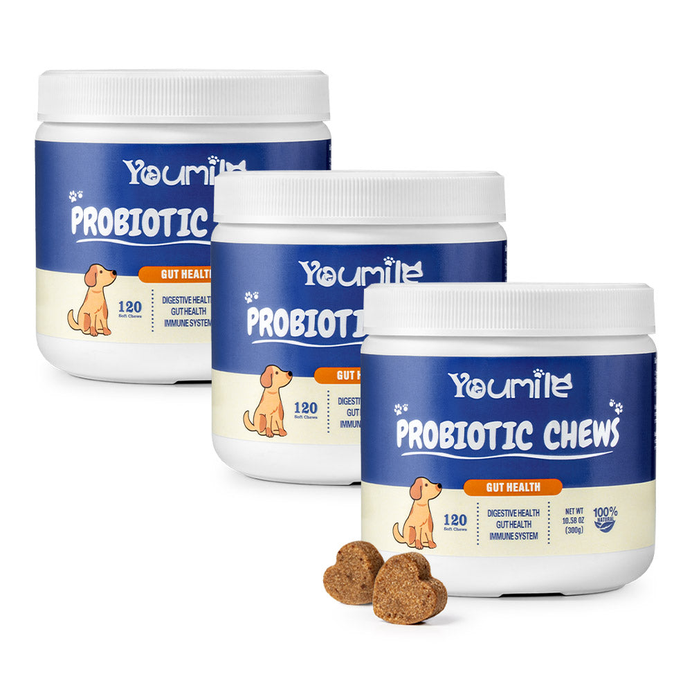 Probiotic Soft Chews for Dogs (120 Count) | Digestive Health & Immune Boost