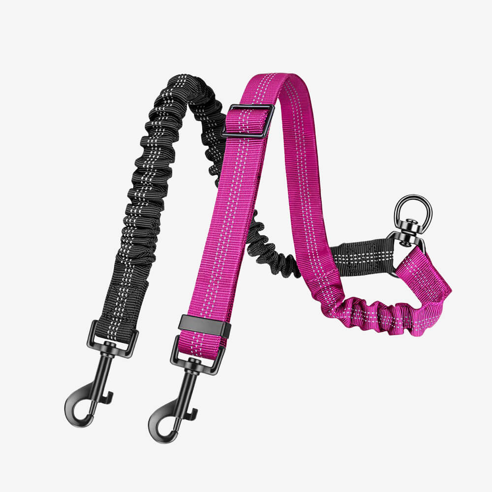 No-Tangle Shock Absorbing Double Lead Dog Leash