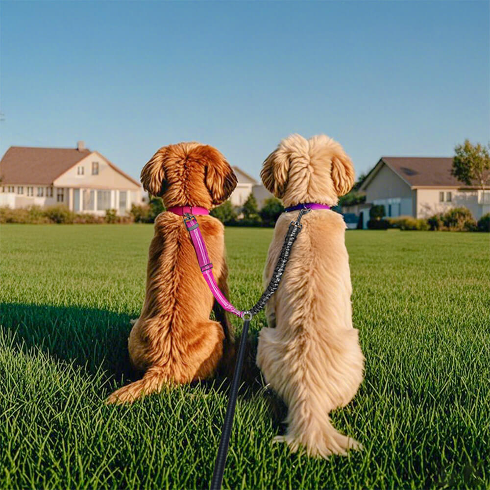 No-Tangle Shock Absorbing Double Lead Dog Leash