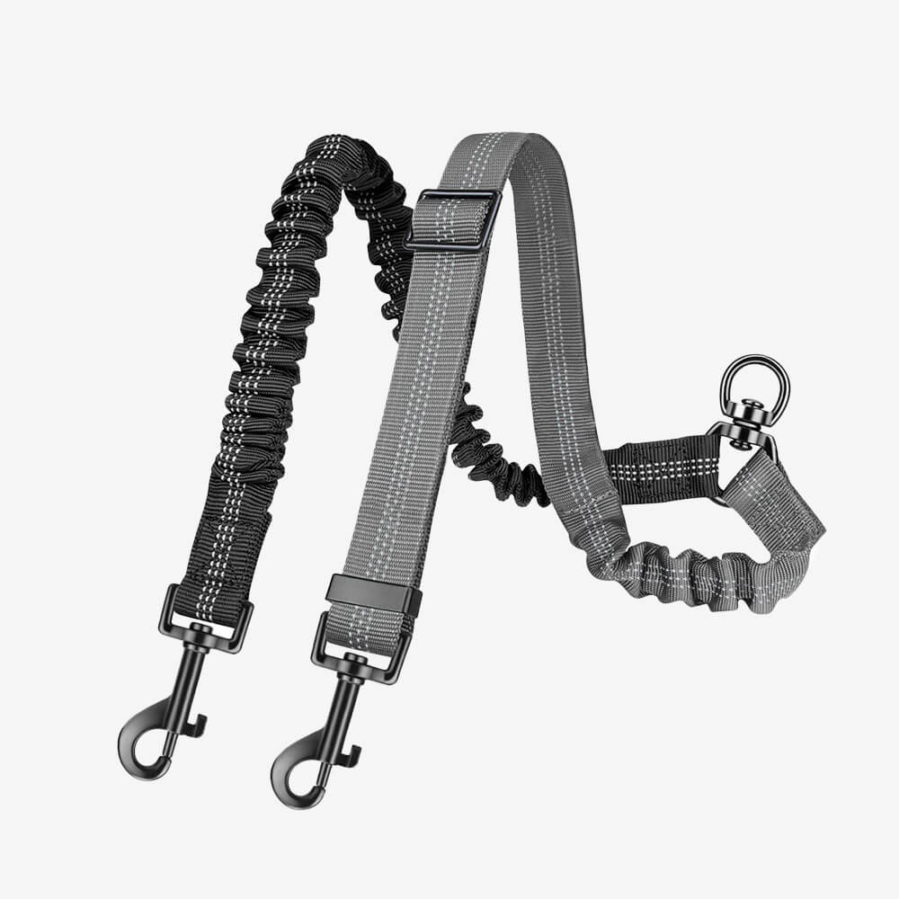 No-Tangle Shock Absorbing Double Lead Dog Leash