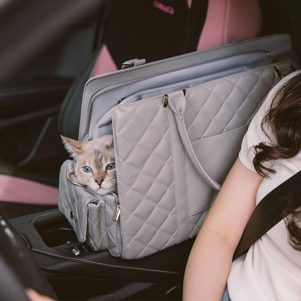 Large Carrying Stylish Multi-Functional Human-Cat Shared Travel Cat Bag - Wandering Tail