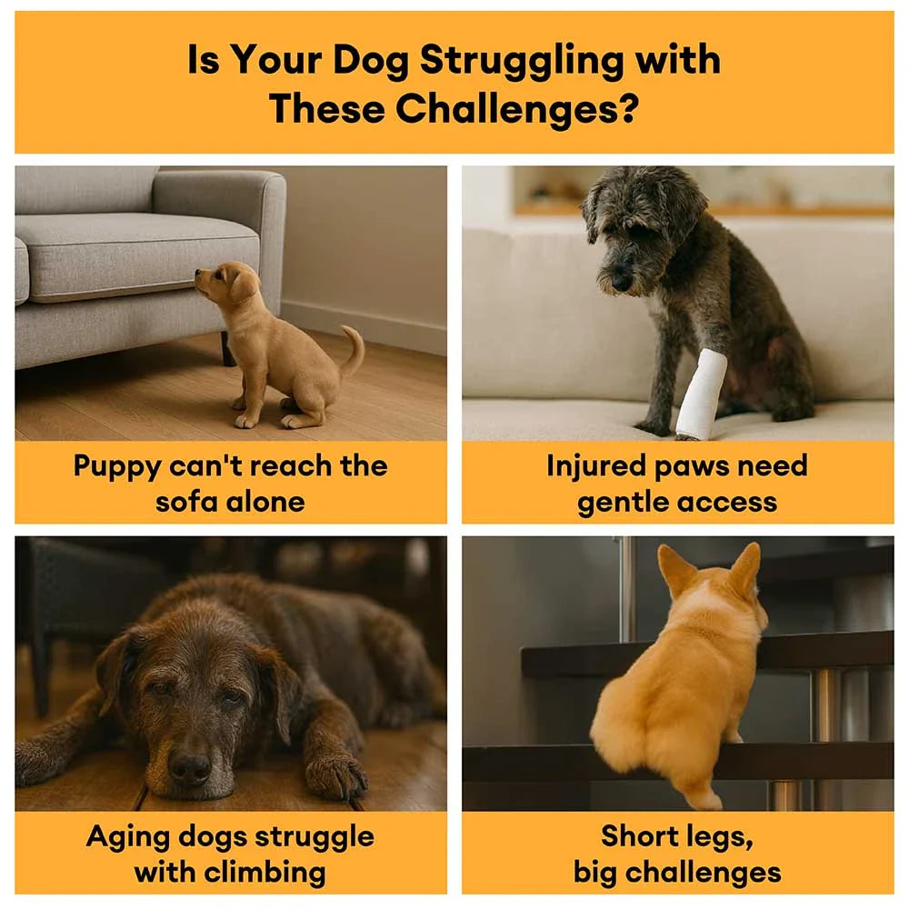 Faux Leather High-Density Sponge Removable Pet Stairs - LuxeStep