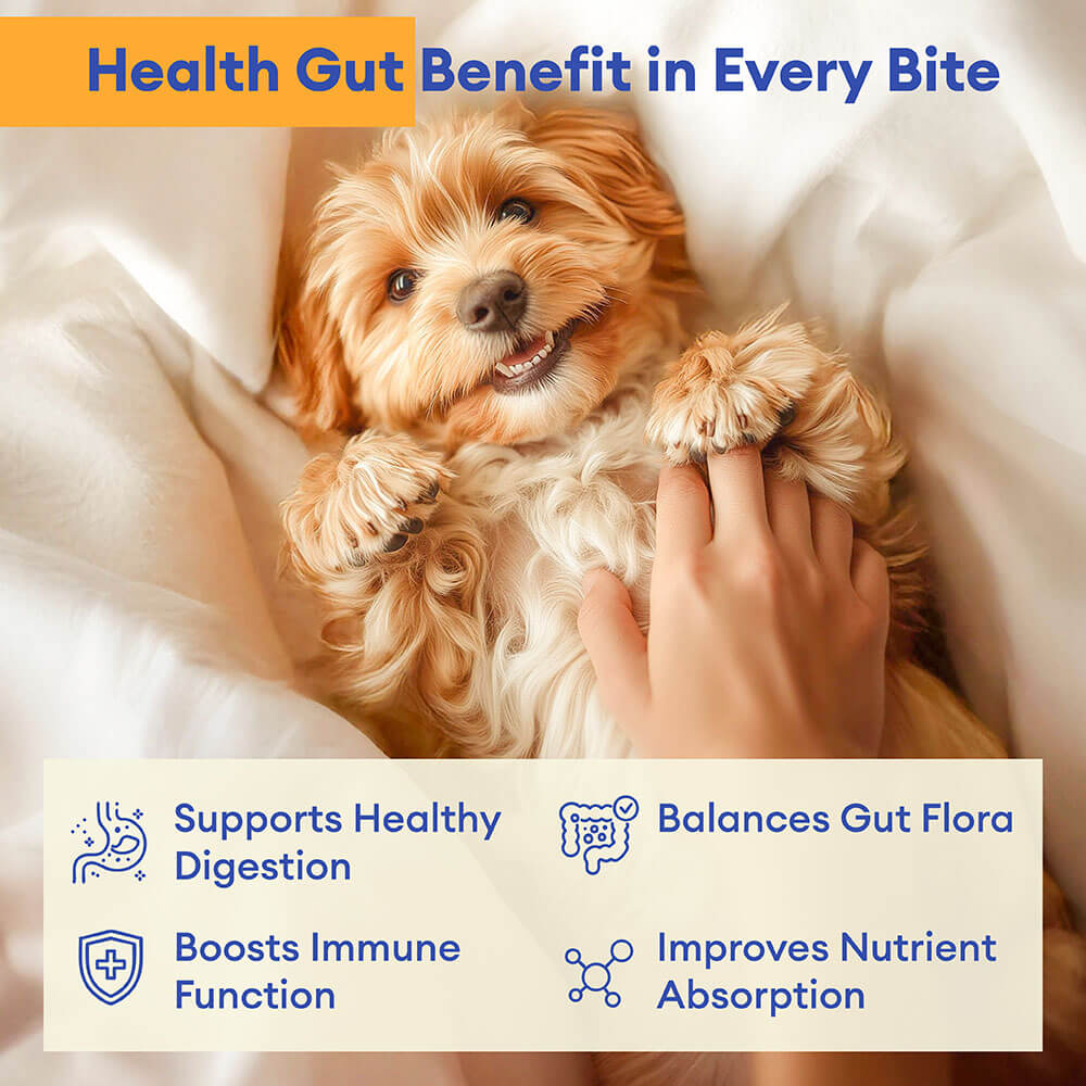 Probiotic Soft Chews for Dogs (120 Count) | Digestive Health & Immune Boost