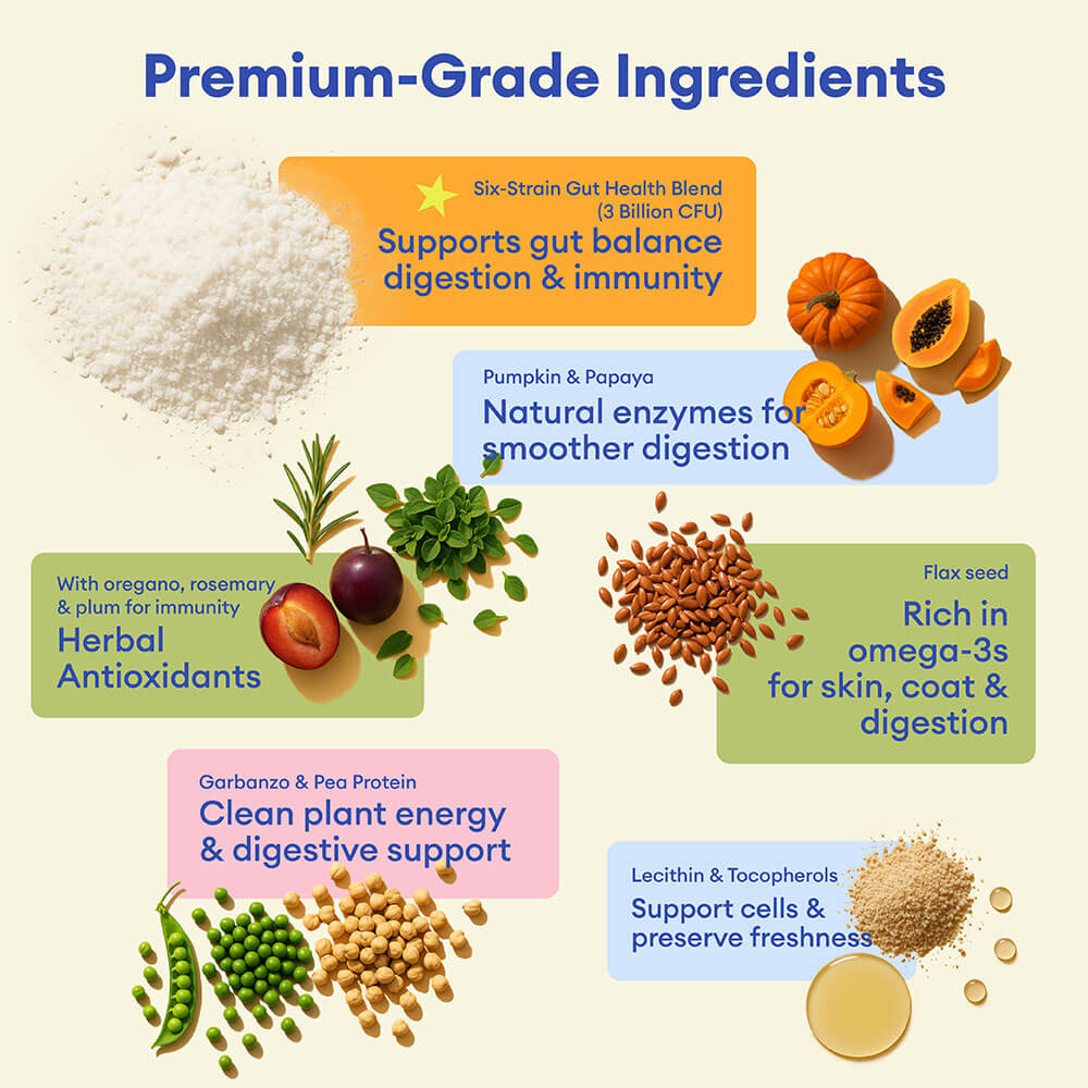 Probiotic Soft Chews for Dogs (120 Count) | Digestive Health & Immune Boost