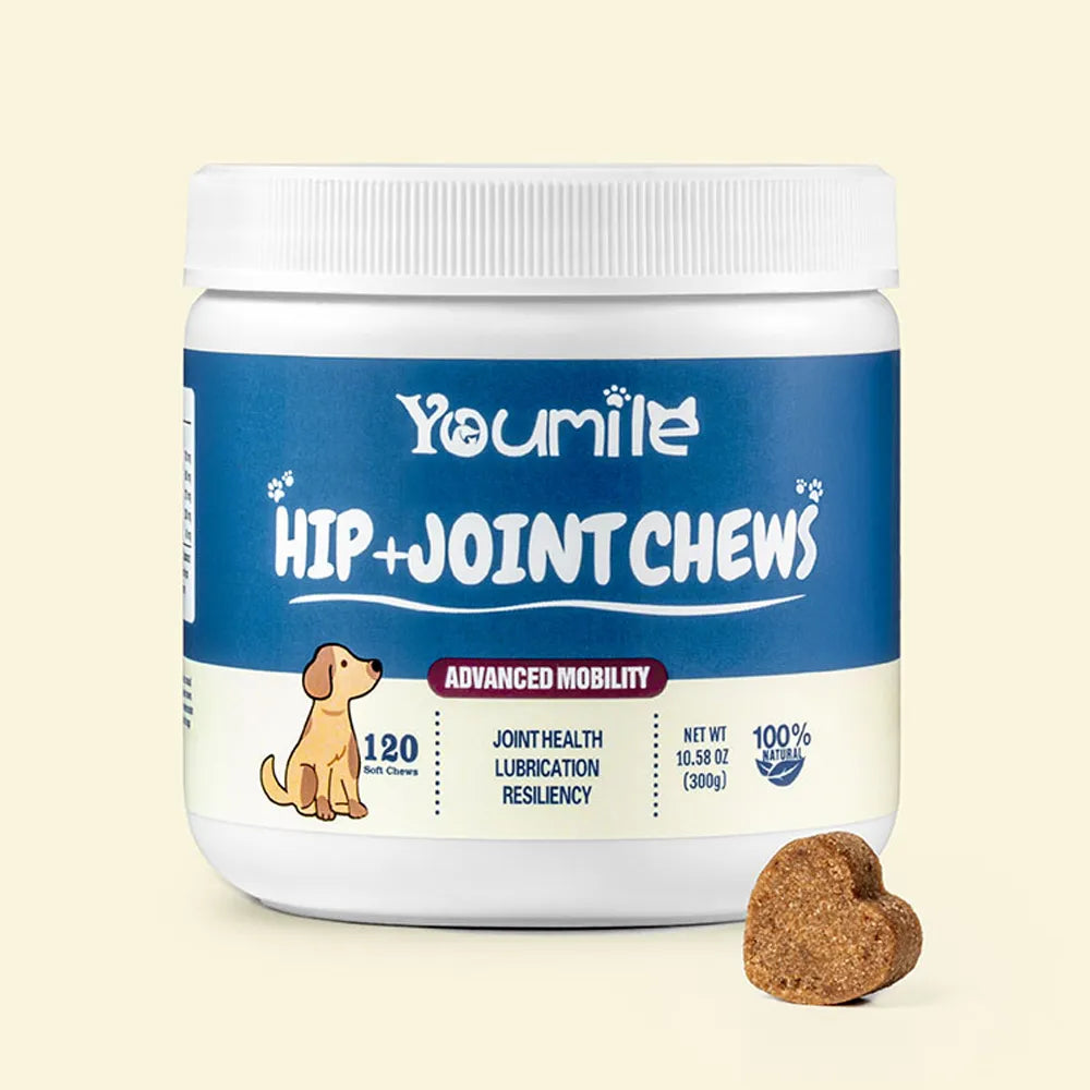 Hip & Joint Supplement Dog Chews (120 Count) | Mobility Support Supplement for Healthy Joints