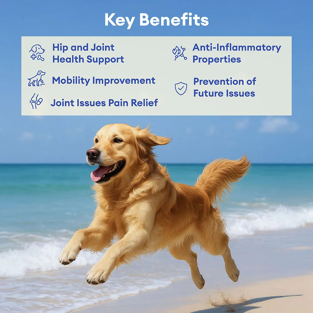 Hip & Joint Supplement Dog Chews (120 Count) | Mobility Support Supplement for Healthy Joints