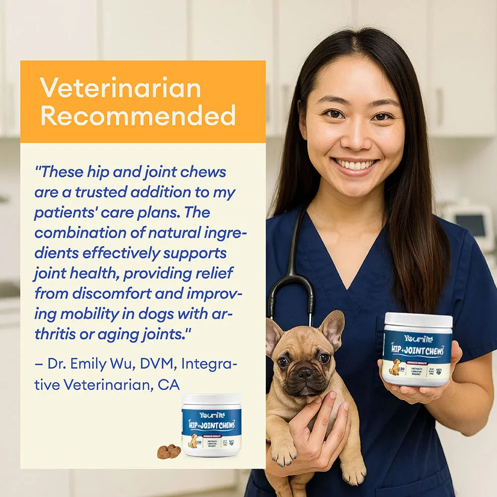 Hip & Joint Supplement Dog Chews (120 Count) | Mobility Support Supplement for Healthy Joints