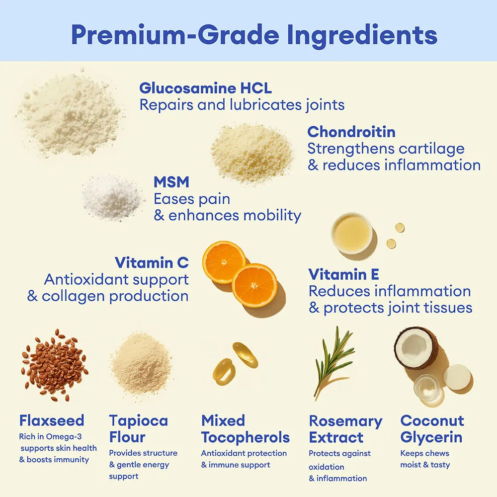 Hip & Joint Supplement Dog Chews (120 Count) | Mobility Support Supplement for Healthy Joints