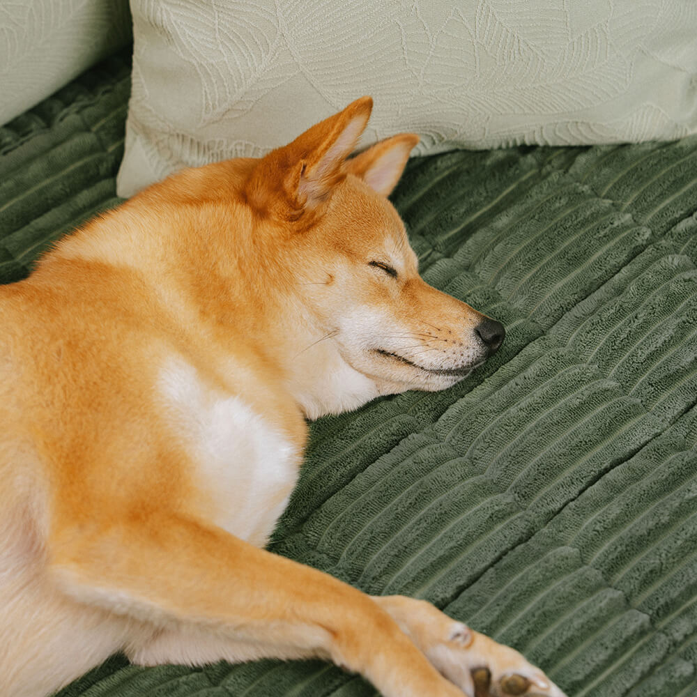 Make Waffle Biscuit Couch Cover – Cozy Soft Flannel & Breathable Pet Mat