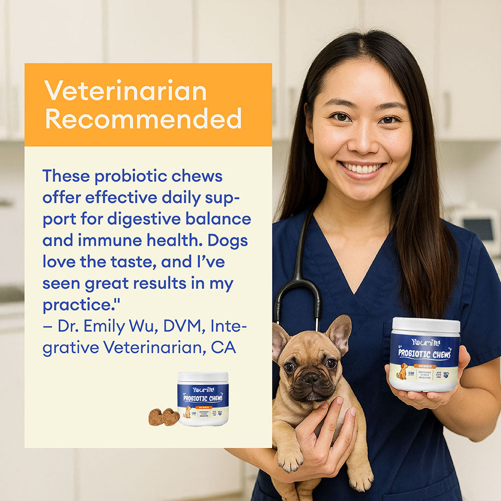 Probiotic Soft Chews for Dogs (120 Count) | Digestive Health & Immune Boost