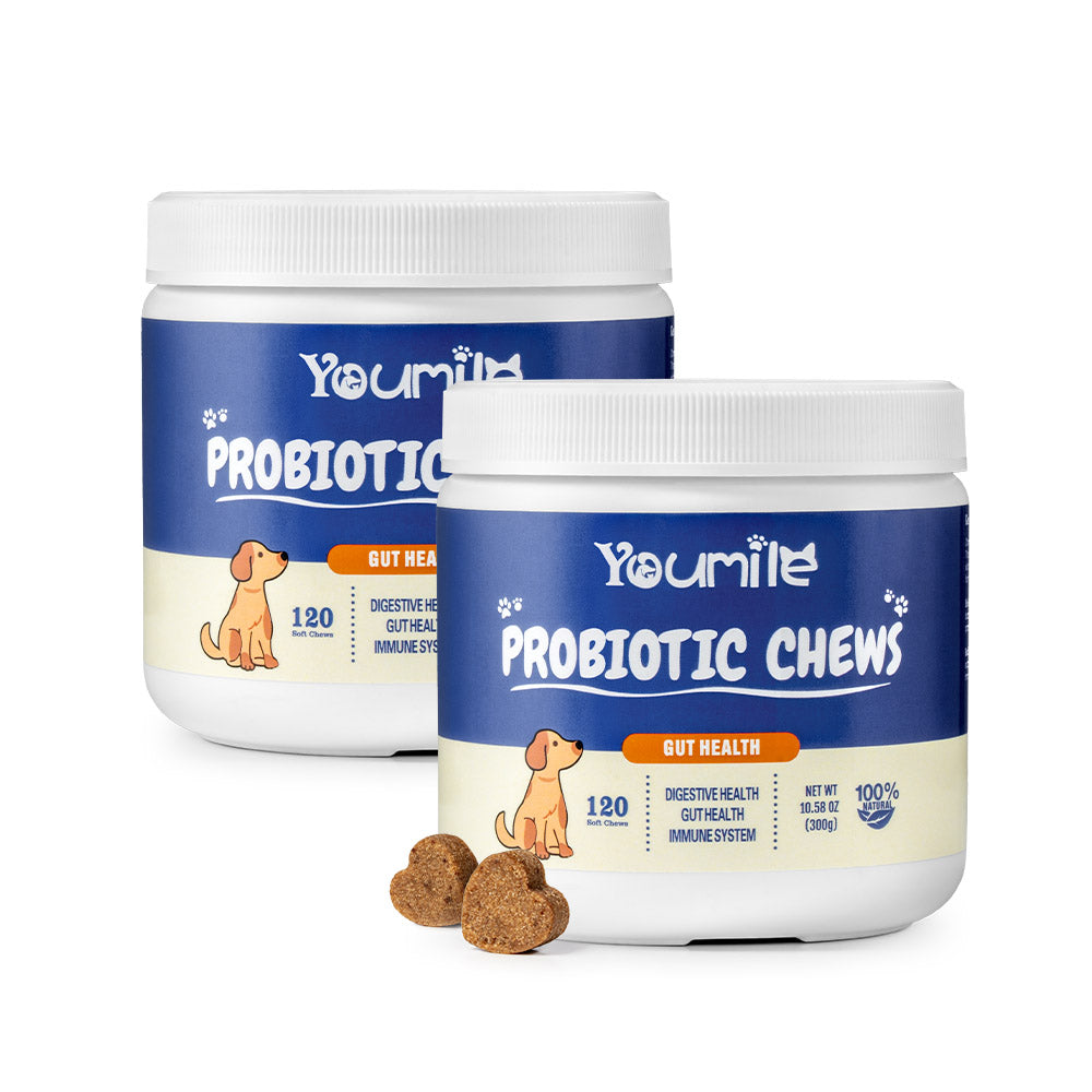 Probiotic Soft Chews for Dogs (120 Count) | Digestive Health & Immune Boost
