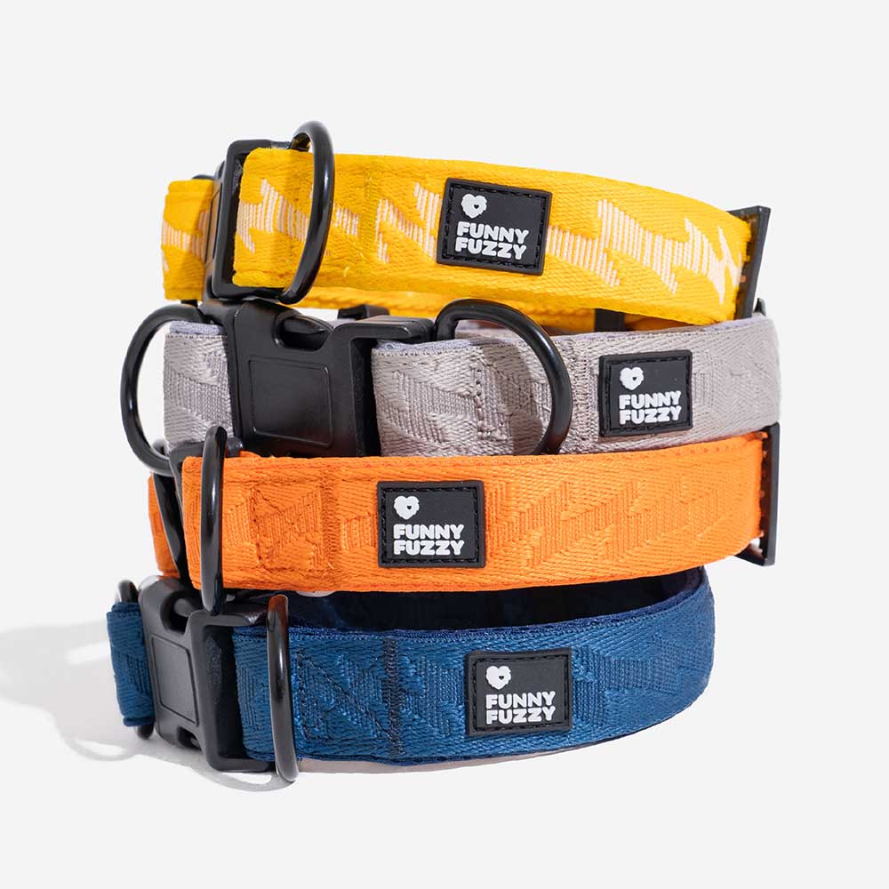 FUNNYFUZZY Adjustable Nylon Durable Dog Collar - Flexi Walker