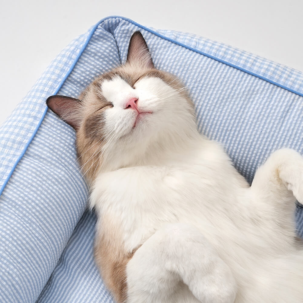 Soft Gingham Washable Dog & Cat Sofa Bed with Pillows