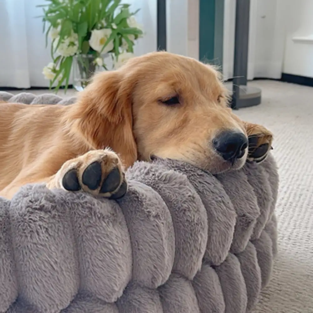 Fluffy Thickened Warm Oval Calming Comfort Dog Sofa Bed