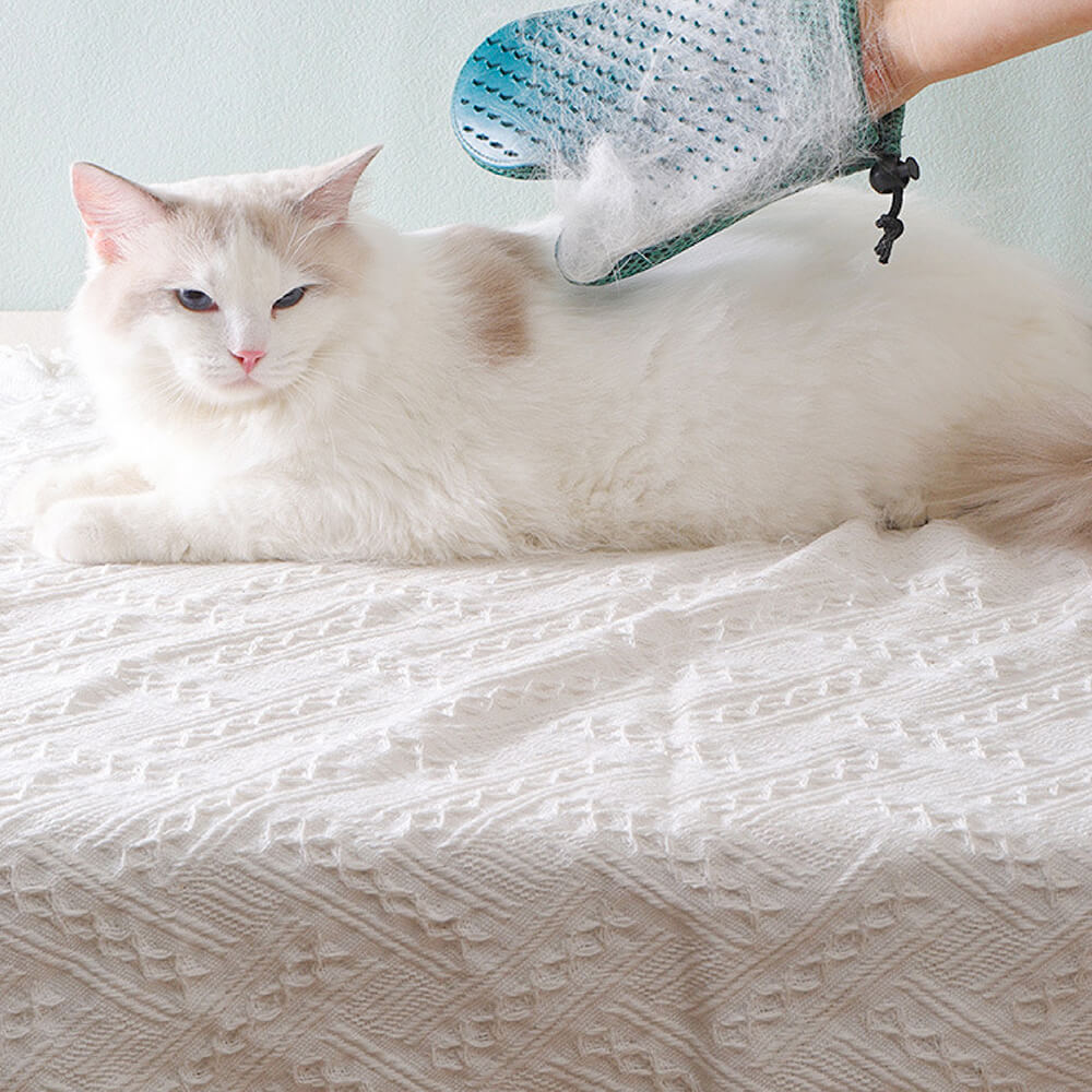 Pet Grooming Glove - Silicone Double Sides Pet Brush