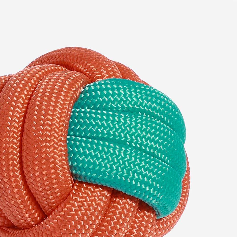 Knots Rope Tug Dog Toys - Color Clash