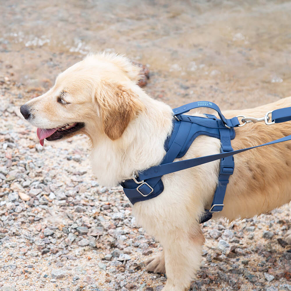 Gummy Walking Dog Harness