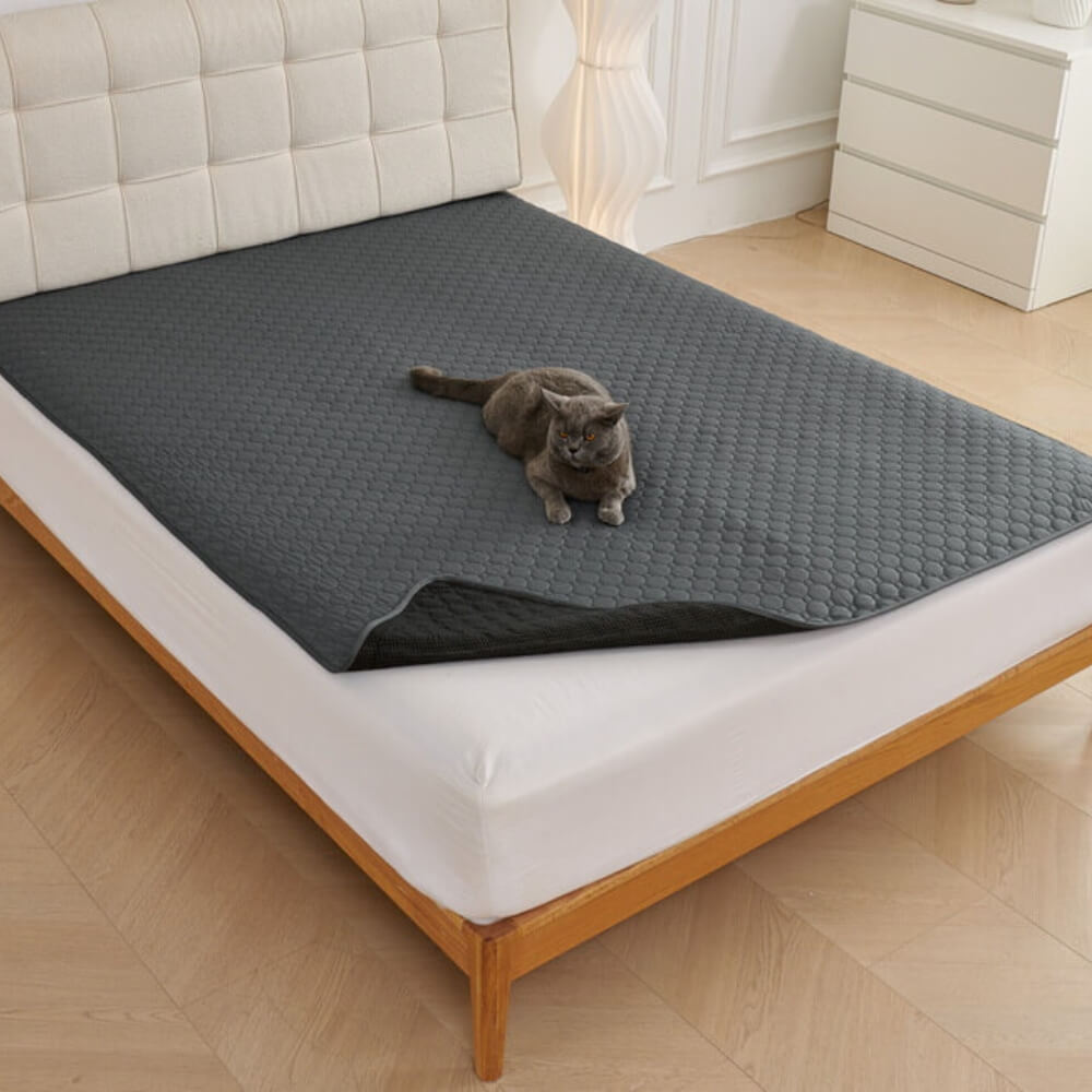 Multi-Purpose Absorbent Leakproof Washable Pet Mat for Sofa and Bed
