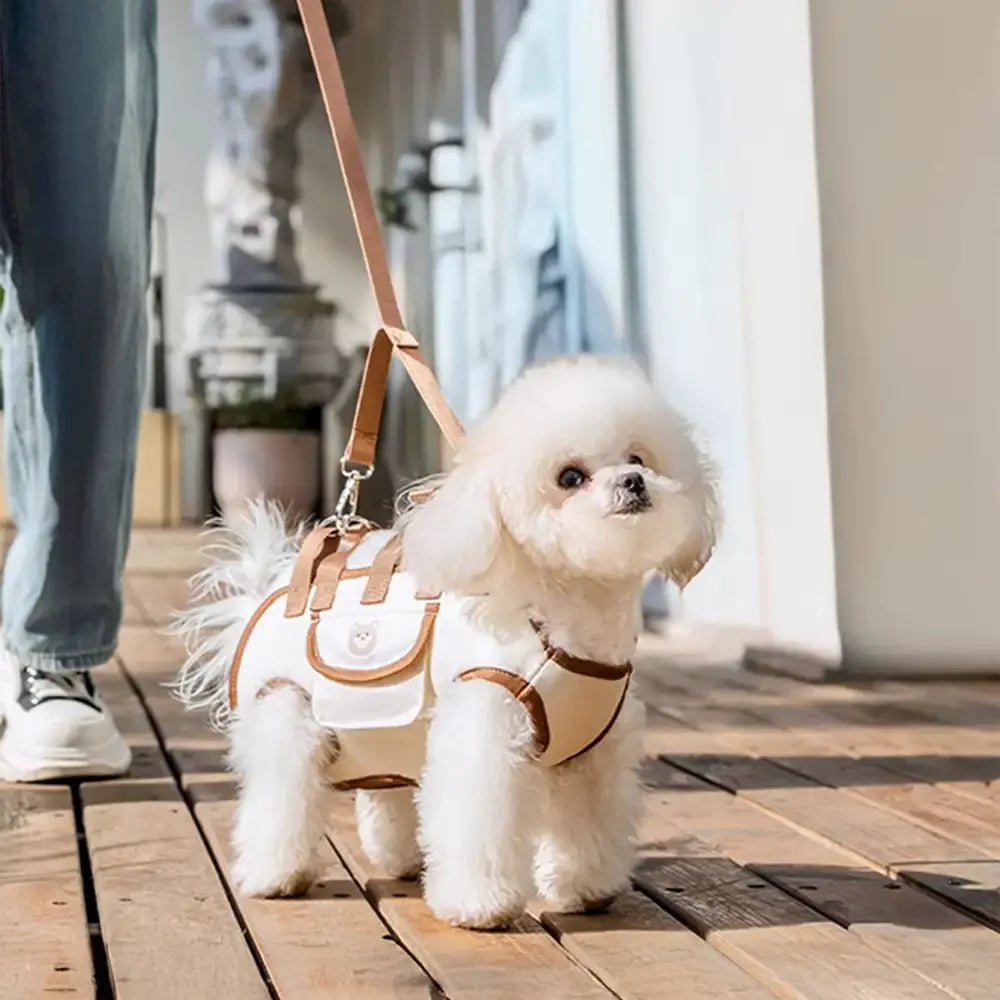 Multifunctional Portable Traction Cross-body Small Dog Carrier Backpack