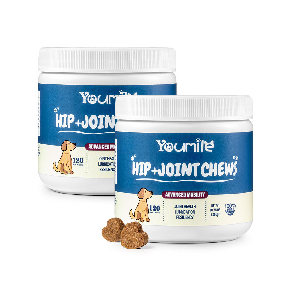 Hip & Joint Supplement Dog Chews (120 Count) | Mobility Support Supplement for Healthy Joints
