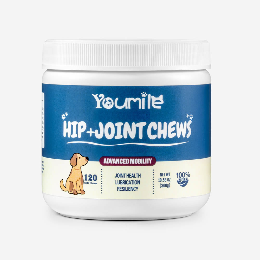 Hip & Joint Supplement Dog Chews (120 Count) | Mobility Support Supplement for Healthy Joints