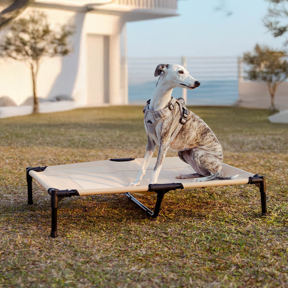 Multi-Functional Breathable Cooling Elevated Dog Bed with Canopy - PawAir