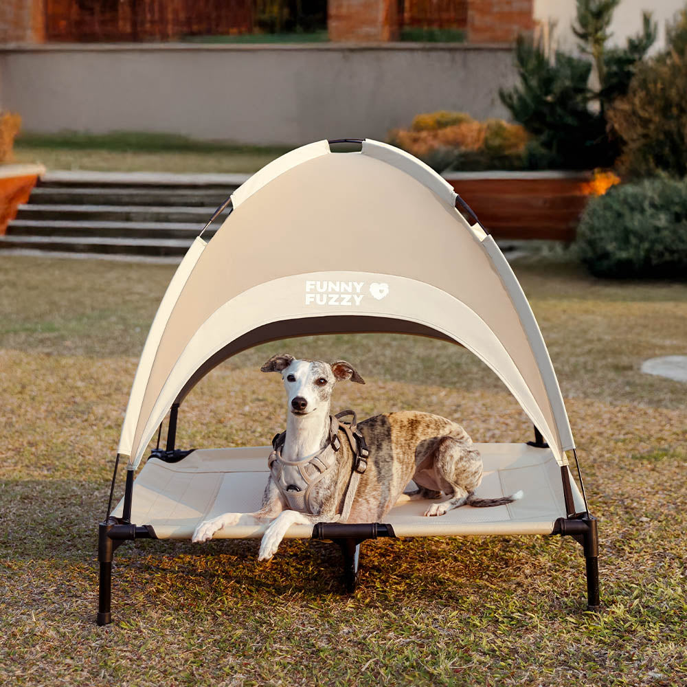 Multi-Functional Breathable Cooling Elevated Dog Bed with Canopy - PawAir
