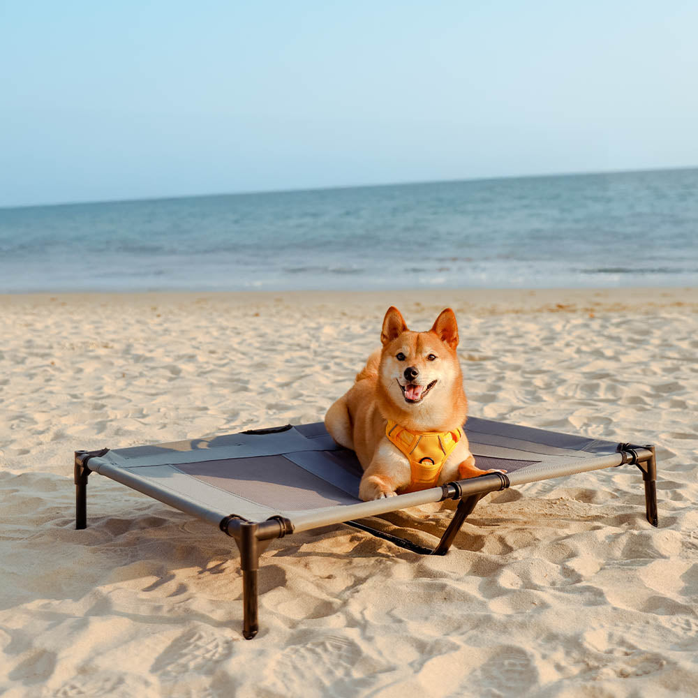 Multi-Functional Breathable Cooling Elevated Dog Bed with Canopy - PawAir