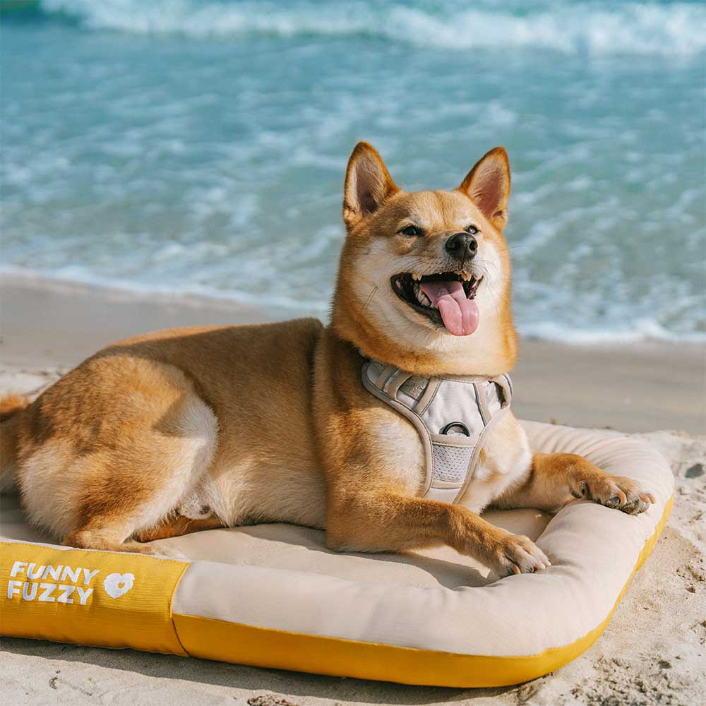 Outdoor Waterproof ＆ Chew-proof Memory Foam Orthopedic Dog Mat - Trek Lounge