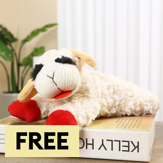 Plush Lamb Squeaker Toy Dog Interactive Toys