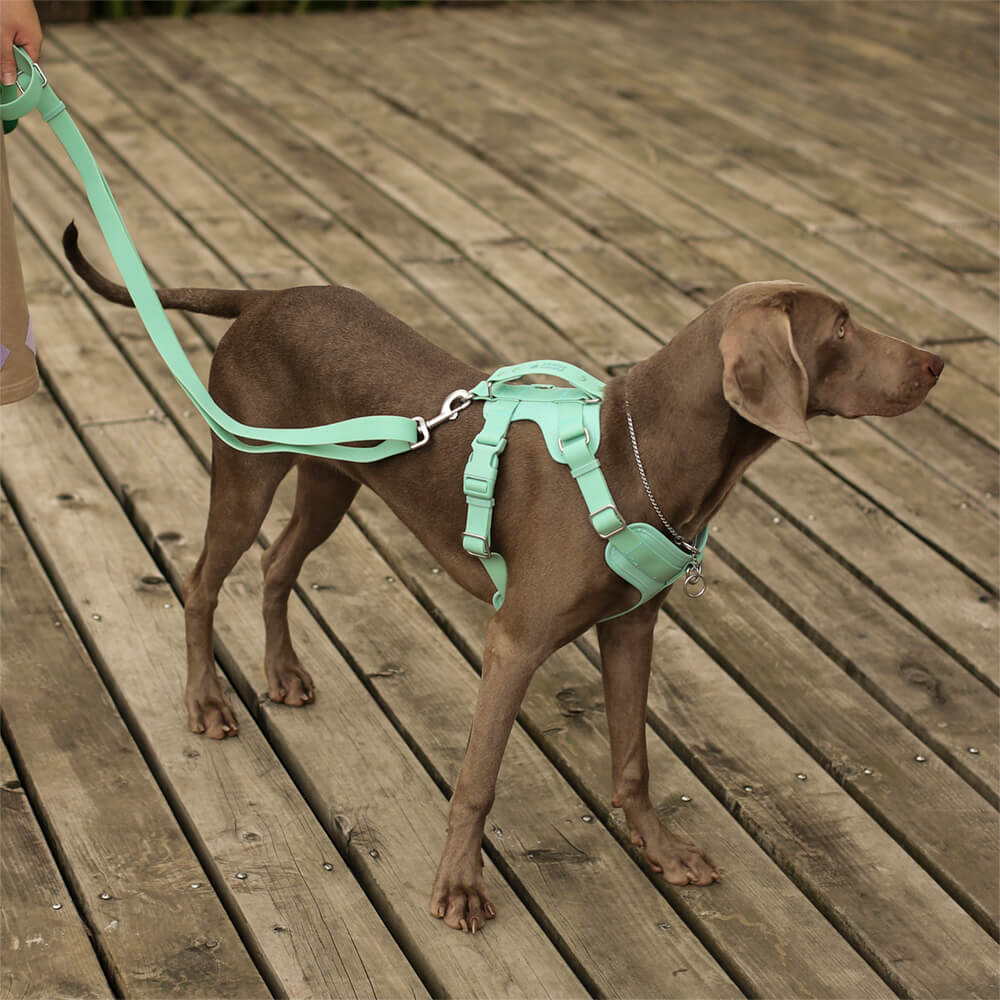 Gummy Walking Dog Harness