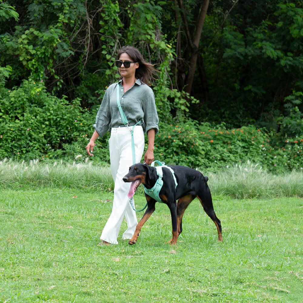 Gummy Walking Dog Leash
