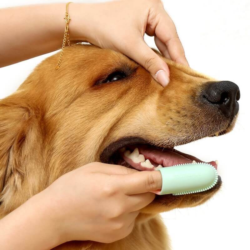 Pet Toothbrush Finger Toothbrush