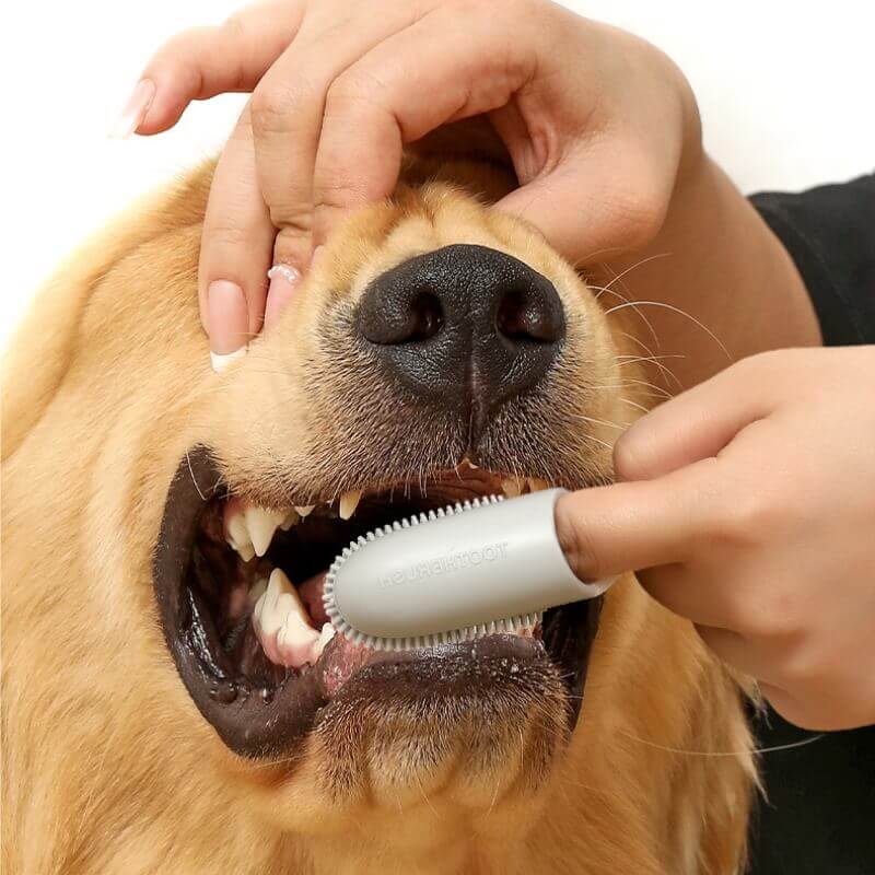Pet Toothbrush Finger Toothbrush