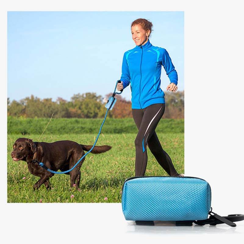Portable Oxford Fabric Dog Walking Bag Dog Waste Bags Dispenser