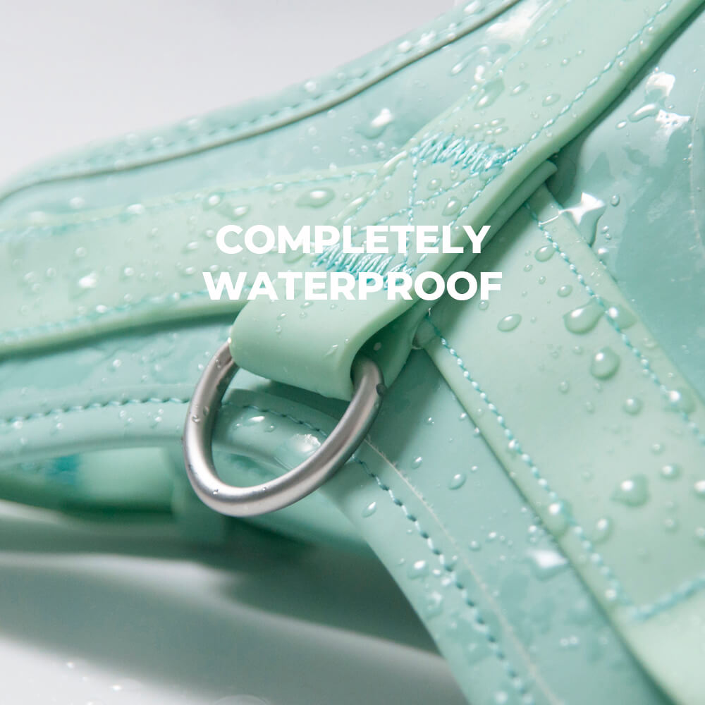 Gummy Walking Dog Harness