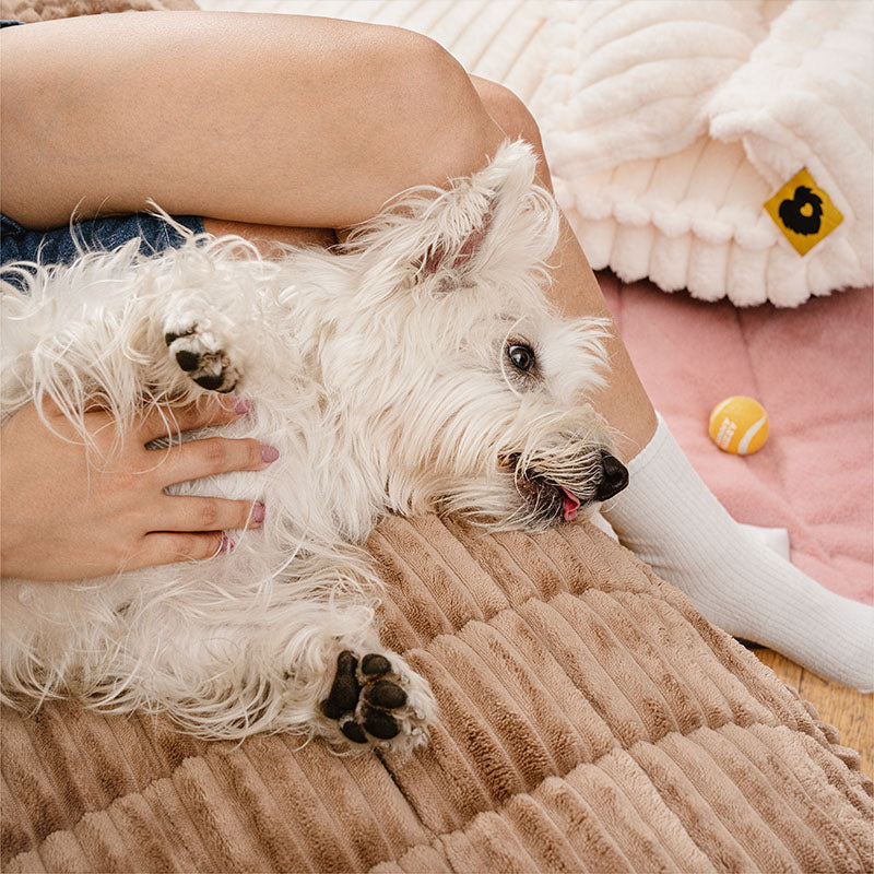 Funda para Sofá Make Waffle Biscuit – Suave Franela Acogedora y Alfombra Transpirable para Mascotas, ¡Deléitate con una Comodidad Sabrosa!