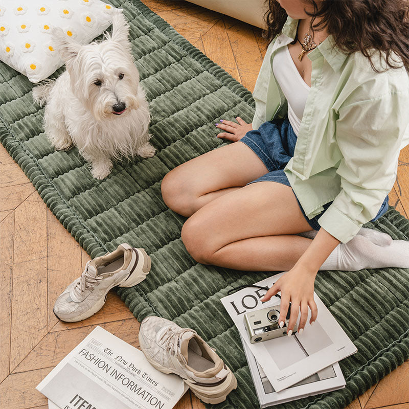 Funda para Sofá Make Waffle Biscuit – Suave Franela Acogedora y Alfombra Transpirable para Mascotas, ¡Deléitate con una Comodidad Sabrosa!